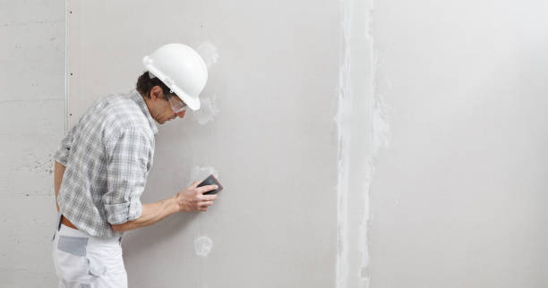 Best Mold Odor Removal Services  in West Hammond, NM