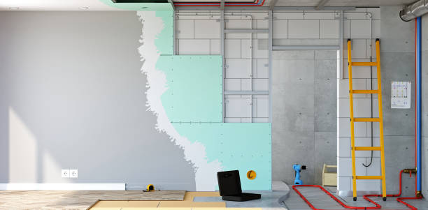 Best Mold Damage Restoration  in West Hammond, NM